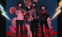 大鲨鱼视频,揭秘海洋霸主的生活奥秘